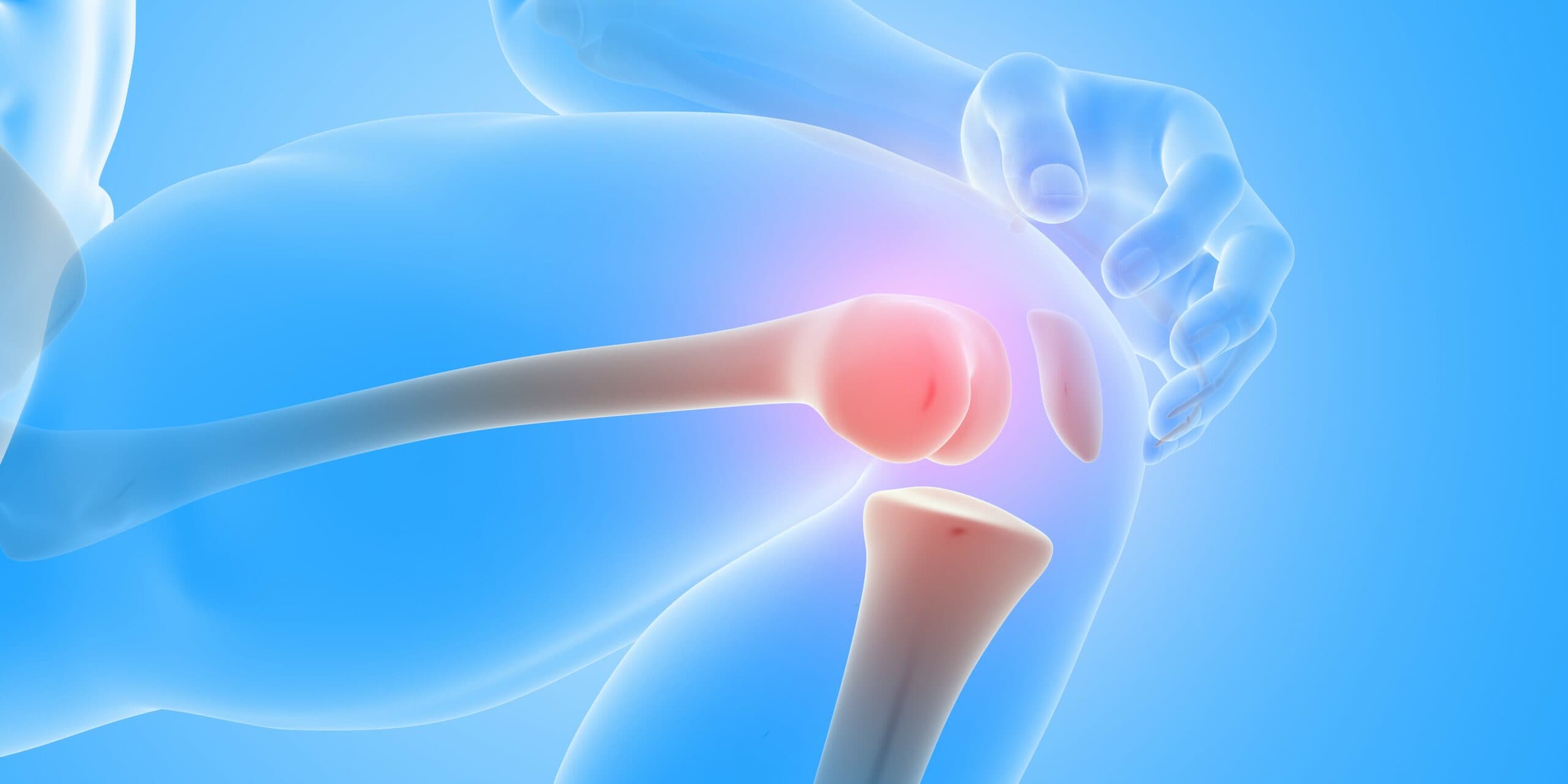 Kolagen na stawy - kość kolanowa
