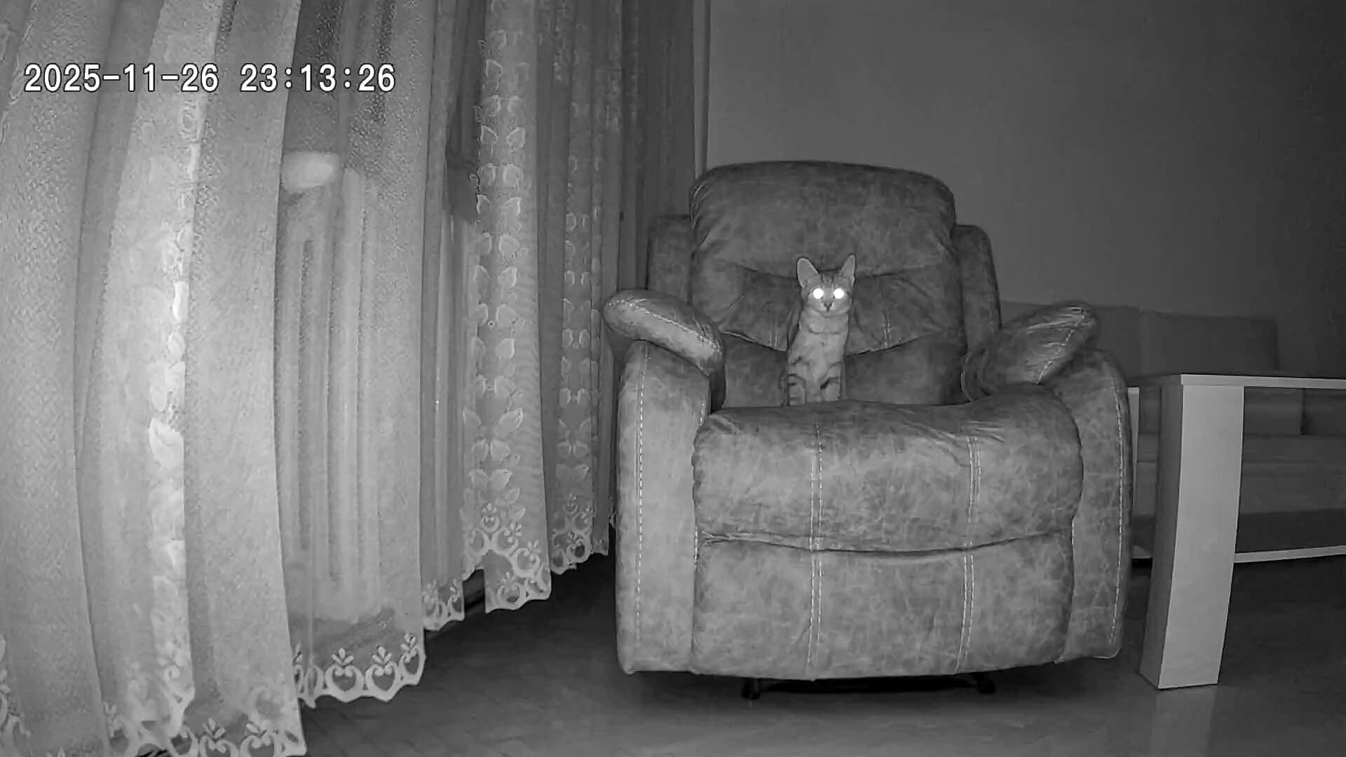 Niania TrueLife NannyCam R6 Dual Smart test