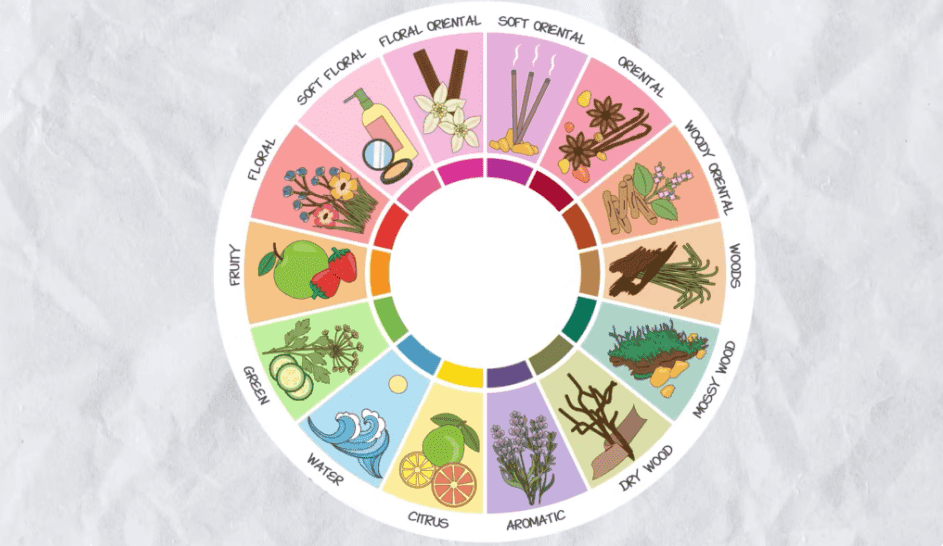 Perfumy męskie - rodzaje zapachów