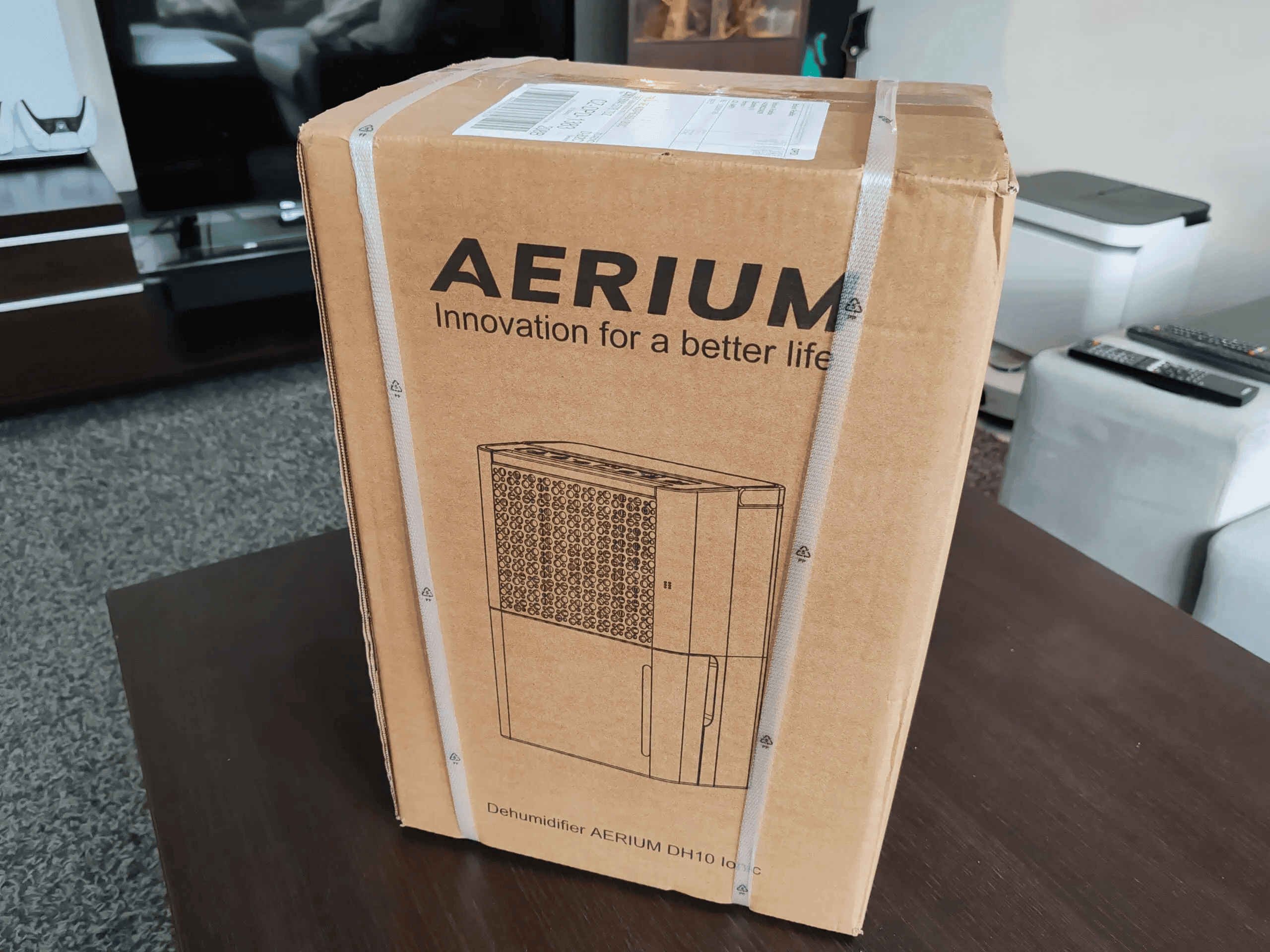 AERIUM DH10 Ionic