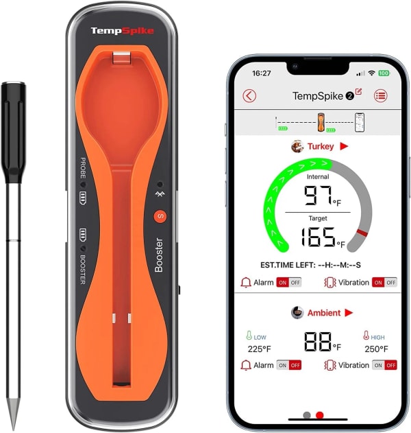 ThermoPro TempSpike: Product review