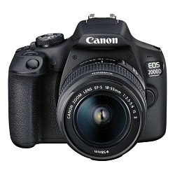 Canon EOS 2000D + 18-55 mm IS II: Product review