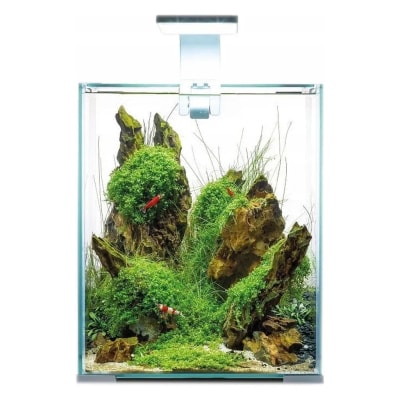 Aquael Shrimp Set Day&Night 30