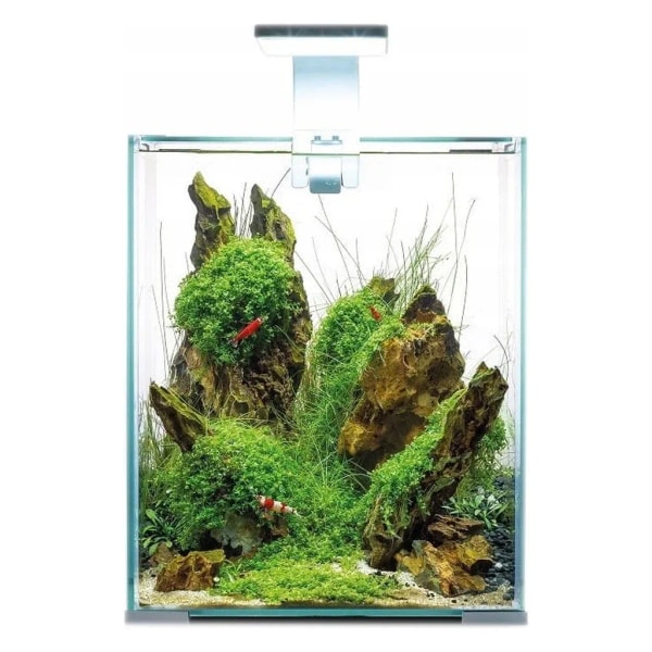 Aquael Shrimp Set Day&Night 30: Product review