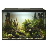 Aquael Leddy XL Day&Night 60