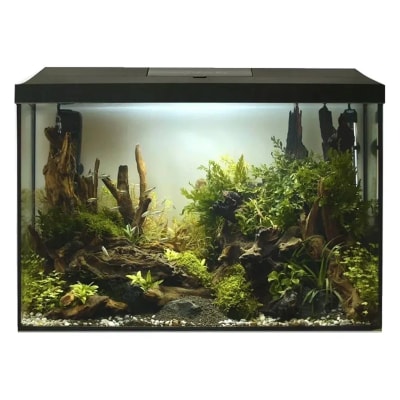 Aquael Leddy XL Day&Night 60