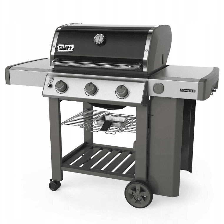 Weber Genesis II E-310