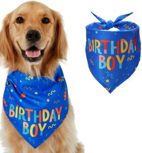 Bandana - coś dla psa na urodziny
