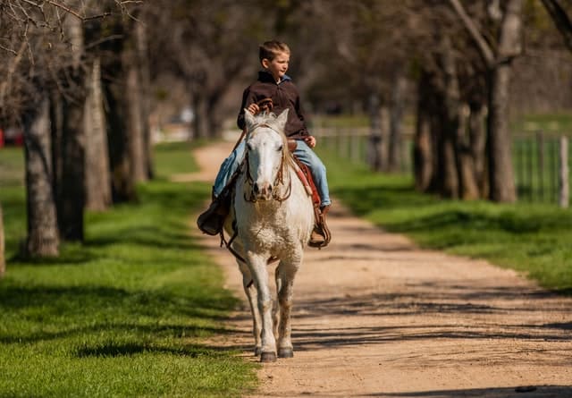Nauka jazdy konnej – prezent dla dziewczynki 11-latki