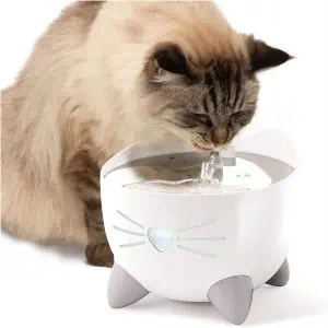 Fontanna do picia dla kotów – innowacyjny prezent dla kota