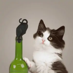 Zatyczka butelek do wina – uroczy prezent dla kociary