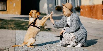 Książki o psach i ich behawioryzmie 2022 – 16 propozycji
